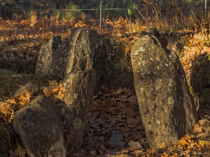 Dolmen Pradocastaño